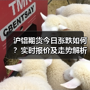 沪铝期货今日涨跌如何？实时报价及走势解析（图3）