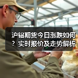 沪铝期货今日涨跌如何？实时报价及走势解析（图4）