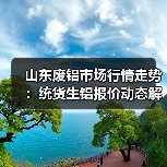山东废铝市场行情走势：统货生铝报价动态解析（图1）