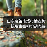 山东废铝市场行情走势：统货生铝报价动态解析（图3）