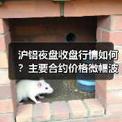 沪铝夜盘收盘行情如何？主要合约价格微幅波动（图1）