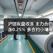 沪铝夜盘收涨 主力合约涨0.25% 多合约小幅攀升（图1）