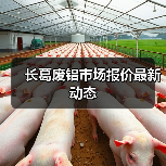 长葛废铝市场报价最新动态（图4）
