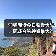 沪铝期货今日收盘大跌，哪些合约跌幅最大？（图1）
