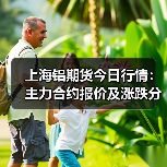 上海铝期货今日行情：主力合约报价及涨跌分析（图2）