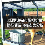 �汩罗废铝市场报价最新行情及价格走势分析（图1）