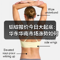 铝锭报价今日大起底：华东华南市场涨势如何？（图3）