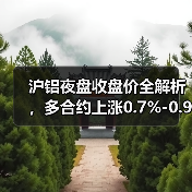 沪铝夜盘收盘价全解析，多合约上涨0.7%-0.9%（图2）