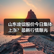 山东废铝报价今日集体上涨？最新行情曝光（图1）
