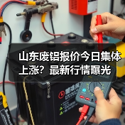 山东废铝报价今日集体上涨？最新行情曝光（图3）