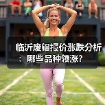 临沂废铝报价涨跌分析：哪些品种领涨？（图4）