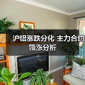 沪铝涨跌分化 主力合约领涨分析（图1）