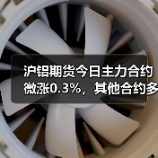 沪铝期货今日主力合约微涨0.3%，其他合约多数上行（图3）