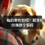 铝价走势如何？期货报价涨跌全解析（图2）