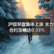 沪铝早盘集体上涨 主力合约涨幅达0.33%（图3）