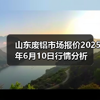 山东废铝市场报价2025年6月10日行情分析（图3）