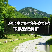 沪铝主力合约午盘价格下跌趋势解析（图1）