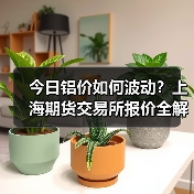 今日铝价如何波动？上海期货交易所报价全解析（图3）