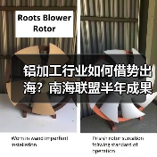 铝加工行业如何借势出海?南海联盟半年成果揭晓(图3) 铝加工行业如何借势出海?南海联盟半年成果揭晓(图3)