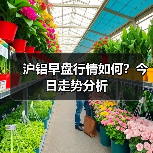 沪铝早盘行情如何？今日走势分析（图1）