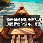 铸造铝合金期货首批注册品牌名单公布,哪些企业上榜?(图2) 铸造铝合金期货首批注册品牌名单公布,哪些企业上榜?(图2)