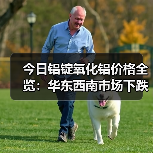 今日铝锭氧化铝价格全览：华东西南市场下跌，华南跌幅较小（图3）