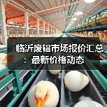 临沂废铝市场报价汇总:最新价格动态(图4) 临沂废铝市场报价汇总:最新价格动态(图4)