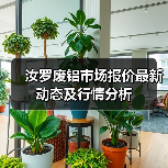 汝罗废铝市场报价最新动态及行情分析（图2）