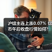 沪铝主连上涨0.07% 铝市午后收盘行情如何?(图1) 沪铝主连上涨0.07% 铝市午后收盘行情如何?(图1)