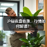 沪铝夜盘收涨，行情如何解读？（图3）