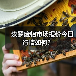 汝罗废铝市场报价今日行情如何？（图1）