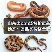 山东废铝市场报价最新动态：各品类价格全面上涨（图4）