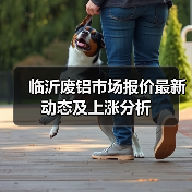临沂废铝市场报价最新动态及上涨分析(图1) 临沂废铝市场报价最新动态及上涨分析(图1)