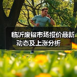 临沂废铝市场报价最新动态及上涨分析（图3）