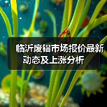 临沂废铝市场报价最新动态及上涨分析(图4) 临沂废铝市场报价最新动态及上涨分析(图4)