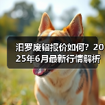 汨罗废铝报价如何？2025年6月最新行情解析（图1）