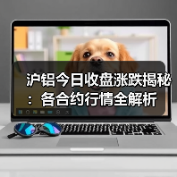 沪铝今日收盘涨跌揭秘：各合约行情全解析（图2）