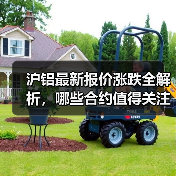 沪铝最新报价涨跌全解析，哪些合约值得关注？（图1）