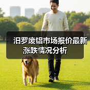 汨罗废铝市场报价最新涨跌情况分析（图4）