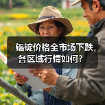 铝锭价格全市场下跌，各区域行情如何？（图2）