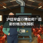 沪铝早盘行情如何？最新价格涨跌解析（图1）