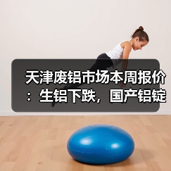 天津废铝市场本周报价：生铝下跌，国产铝锭上涨（图3）