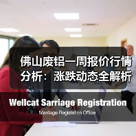佛山废铝一周报价行情分析:涨跌动态全解析(图4) 佛山废铝一周报价行情分析:涨跌动态全解析(图4)