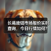 长葛废铝市场报价实时查询，今日行情如何？（图4）