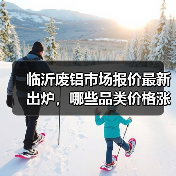 临沂废铝市场报价最新出炉,哪些品类价格涨幅最明显?(图2) 临沂废铝市场报价最新出炉,哪些品类价格涨幅最明显?(图2)