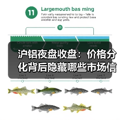 沪铝夜盘收盘：价格分化背后隐藏哪些市场信号？（图4）