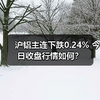 沪铝主连下跌0.24% 今日收盘行情如何？（图2）