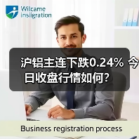 沪铝主连下跌0.24% 今日收盘行情如何？（图4）