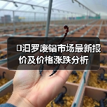 �汩罗废铝市场最新报价及价格涨跌分析（图4）