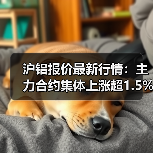 沪铝报价最新行情：主力合约集体上涨超1.5%（图2）